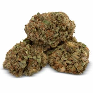 Amnesia Haze Greenhouse