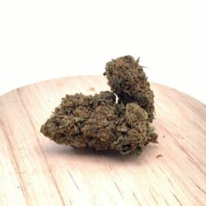 Amnesia Indoor