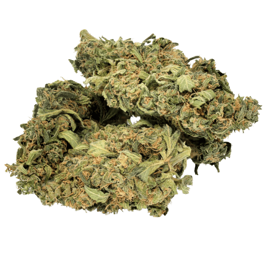 Bruce Banner Indoor
