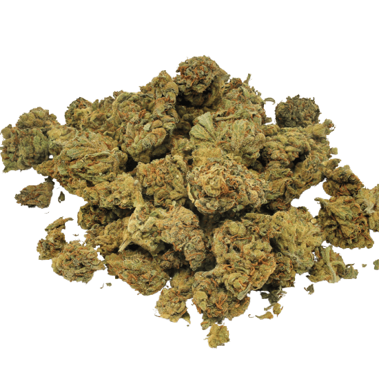 Pop Corn Outdoor / Indoor